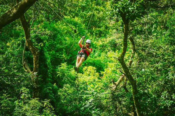 zipline img